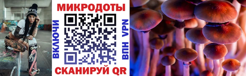 Псилоцибиновые грибы ЛСД  Бобров 